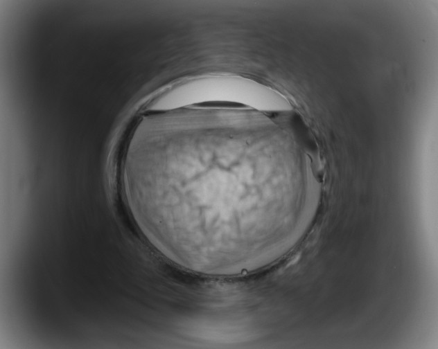 X0000087590343200705251906