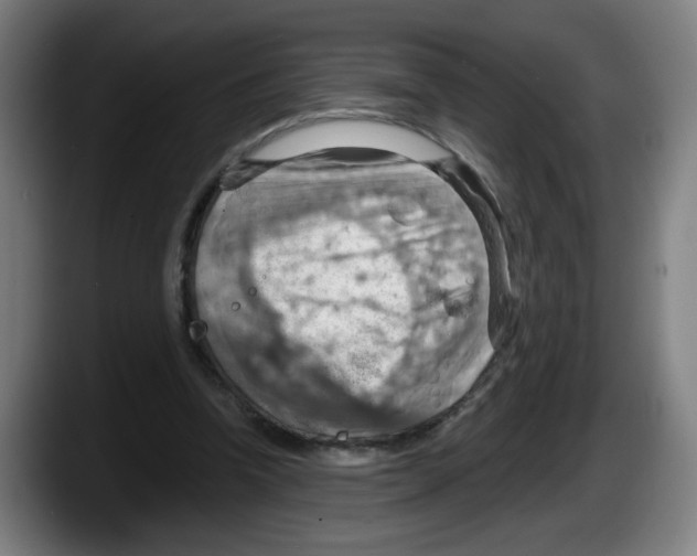 X0000087590346200705251906