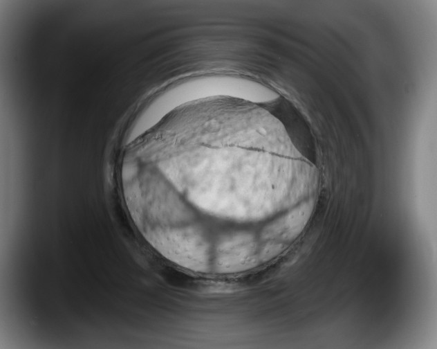X0000087590347200705251906