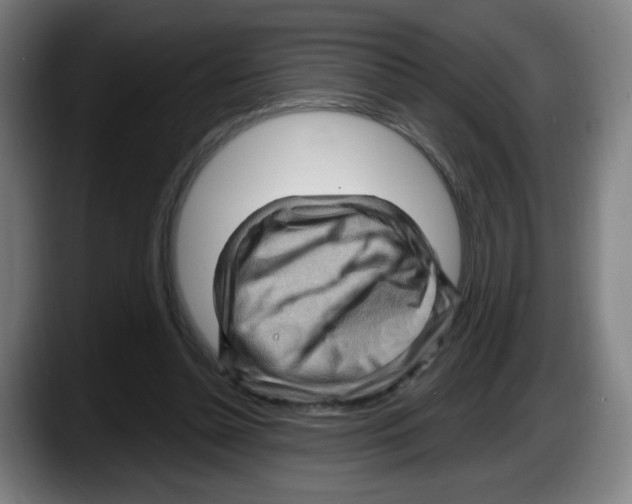 X0000087590348200705251906