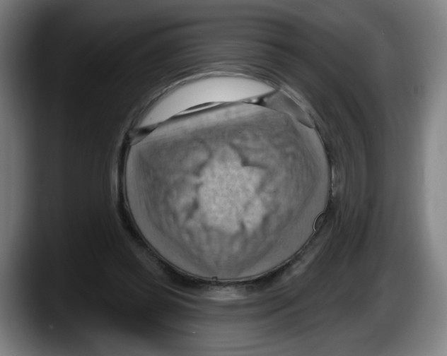 X0000087590349200705251906