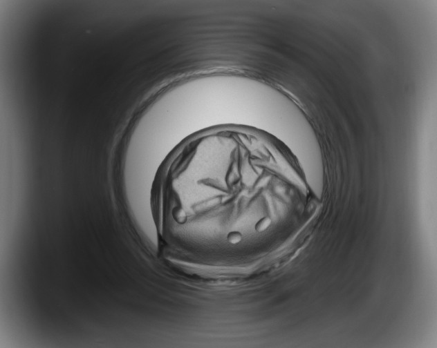 X0000087590350200705251906