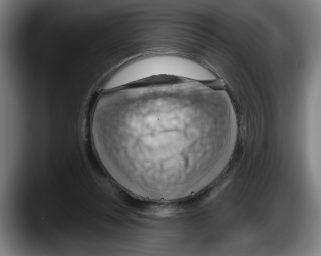 X0000087590351200705251906