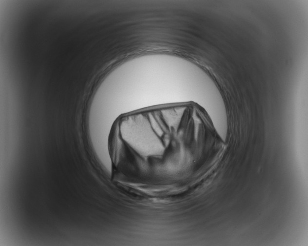 X0000087590352200705251906
