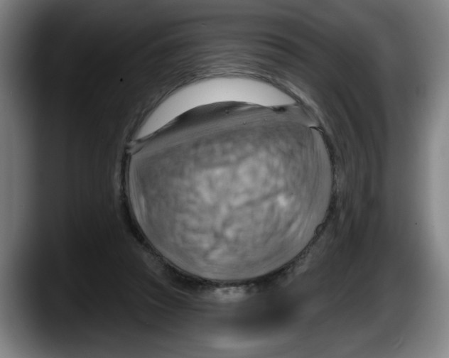 X0000087590353200705251906
