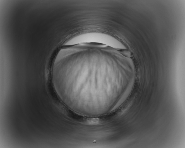 X0000087590355200705251906