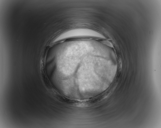 X0000087590356200705251906