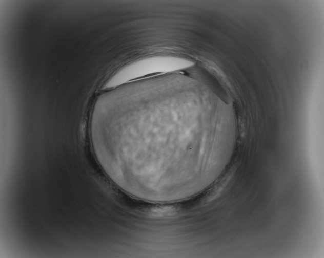 X0000087590357200705251906