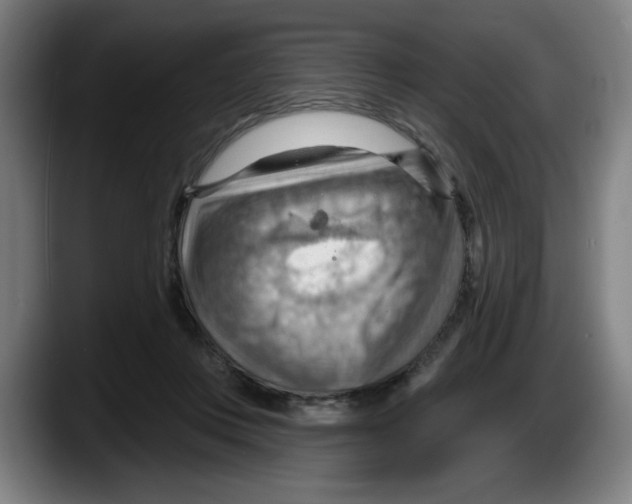 X0000087590359200705251906
