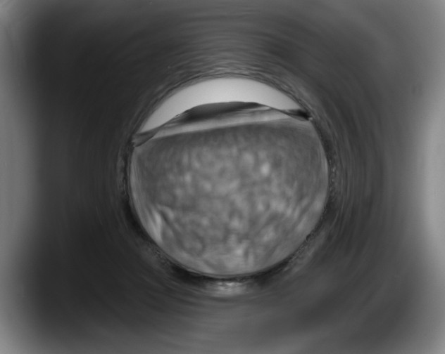 X0000087590361200705251906