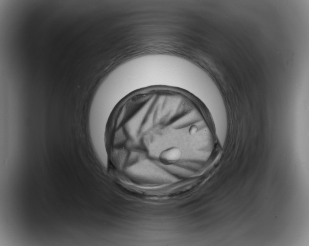 X0000087590362200705251906