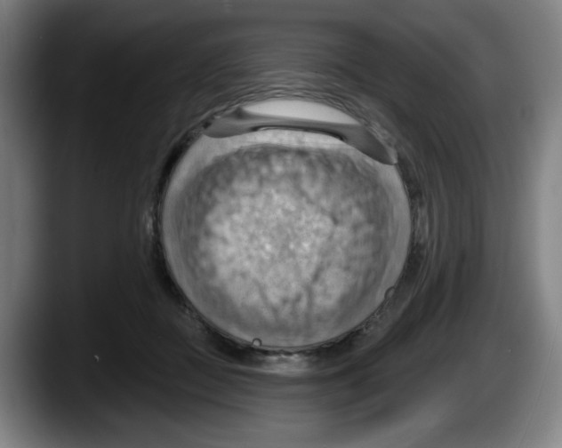 X0000087590363200705251906