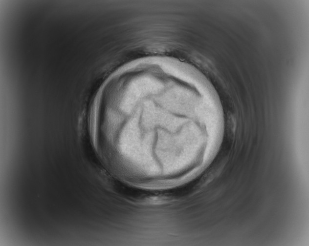 X0000087590364200705251906