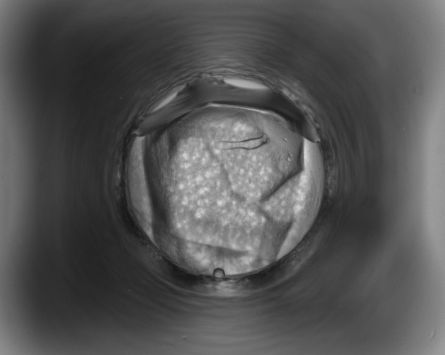 X0000087590365200705251906