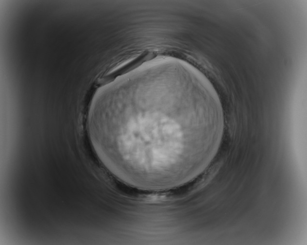 X0000087590366200705251906