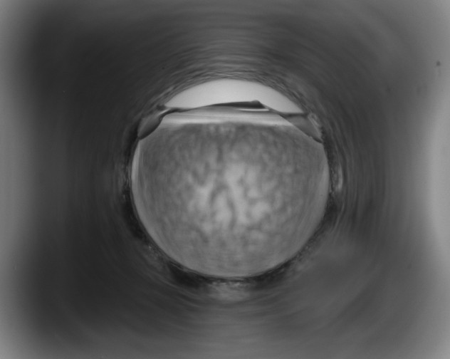 X0000087590367200705251906