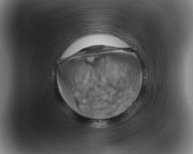 X0000087590369200705251907