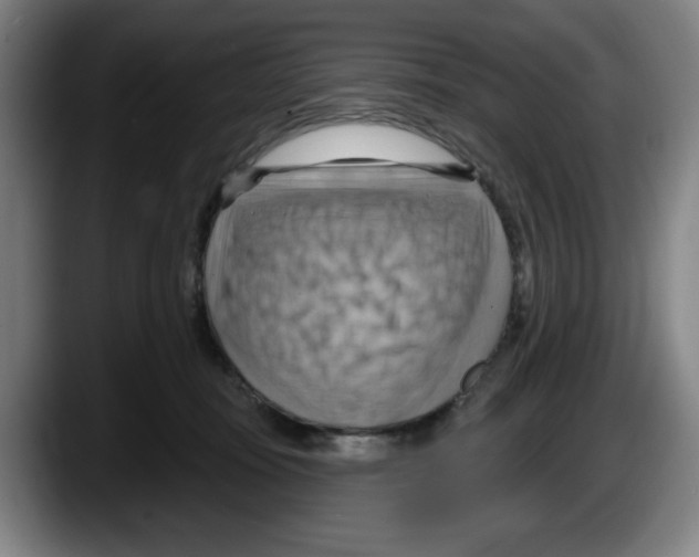 X0000087590371200705251907