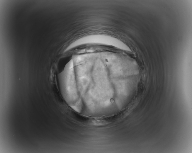 X0000087590372200705251907