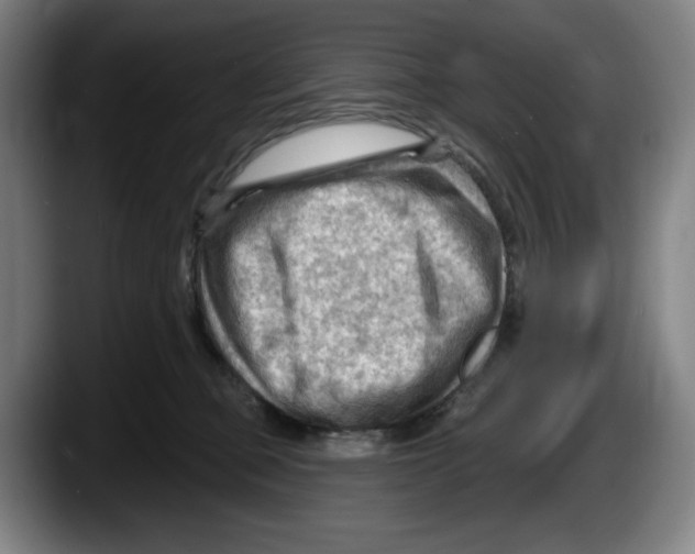 X0000087590373200705251907