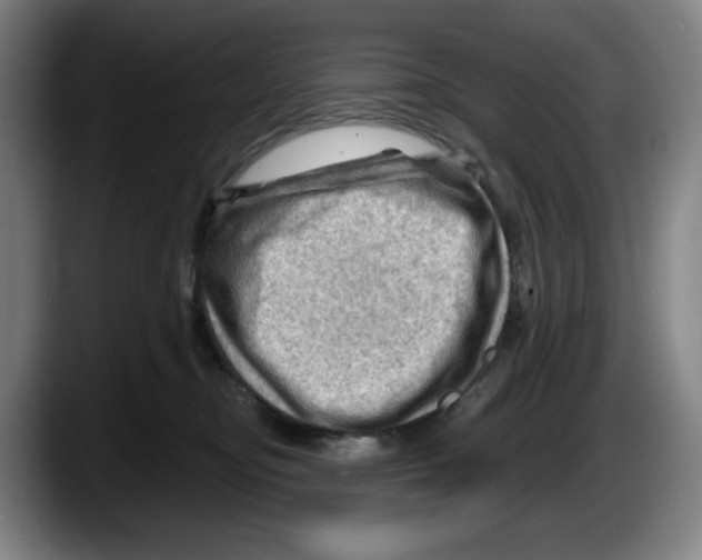 X0000087590374200705251907