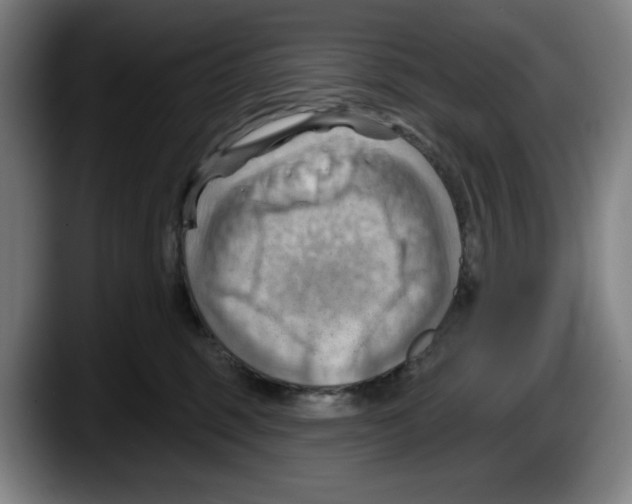 X0000087590375200705251907