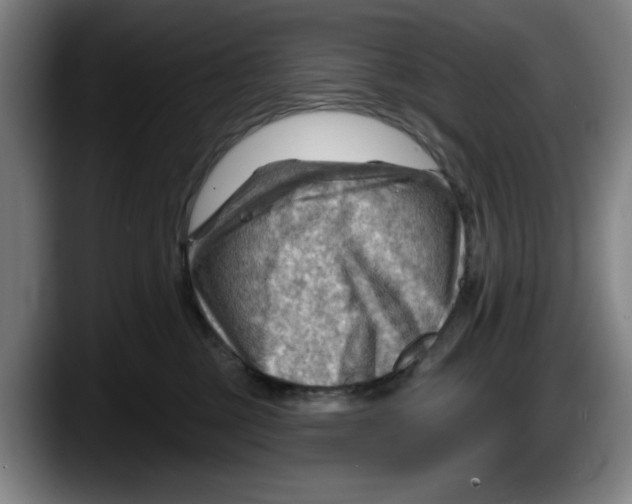 X0000087590377200705251907
