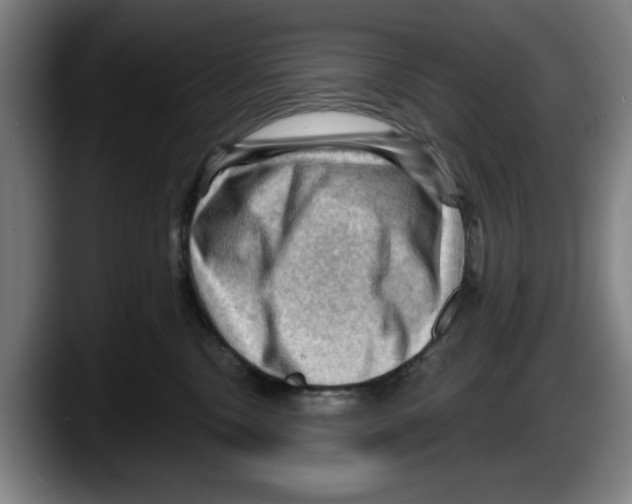 X0000087590378200705251907
