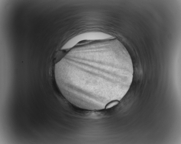 X0000087590379200705251907