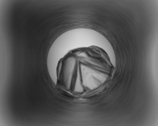 X0000087590380200705251907