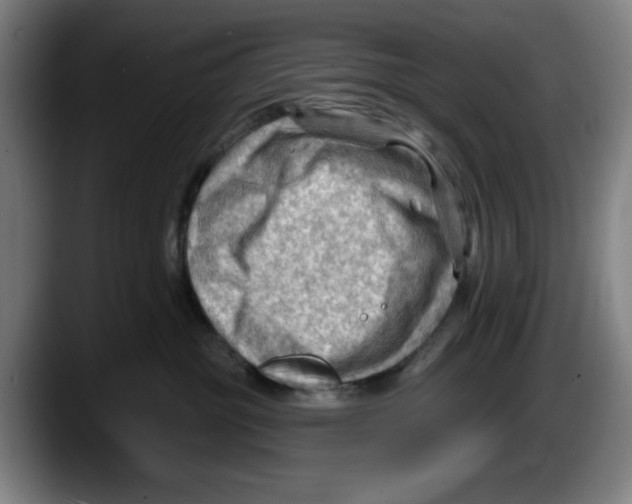 X0000087590381200705251907