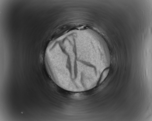 X0000087590382200705251907