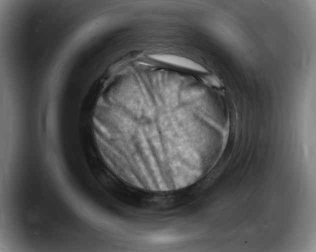 X0000087590383200705251907