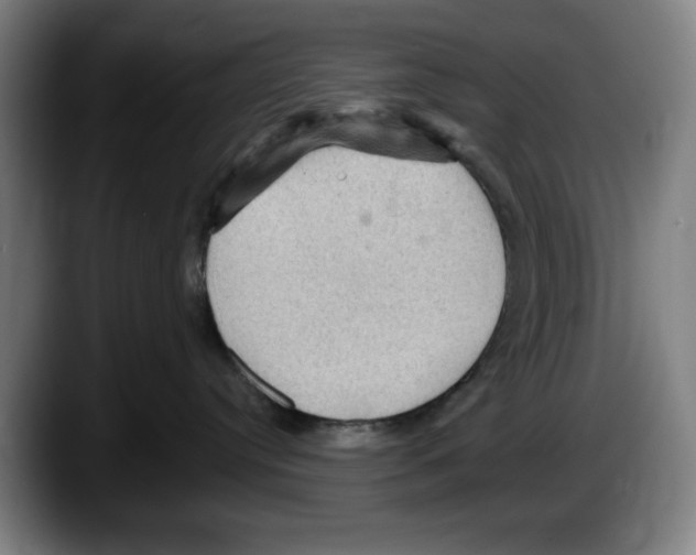 X0000087590384200705251907