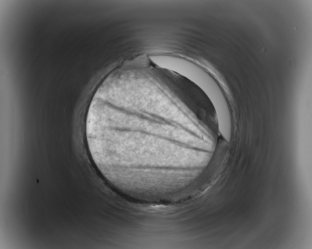 X0000087590385200705251906