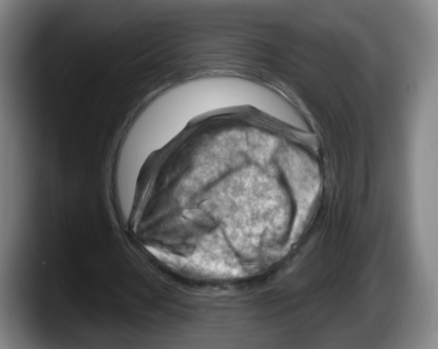 X0000087590386200705251906