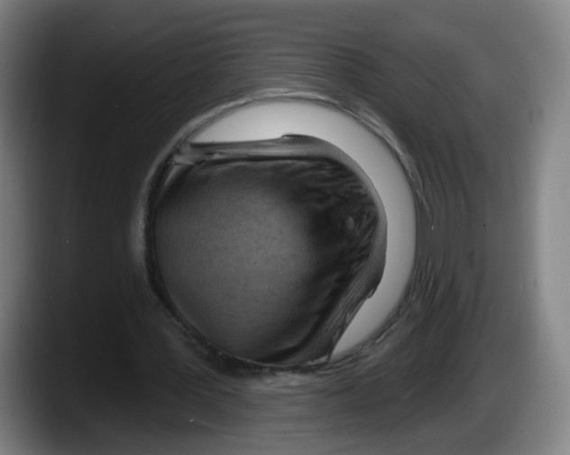 X0000087590387200705251906