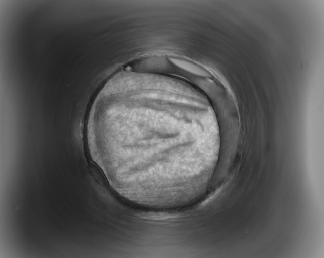 X0000087590389200705251906