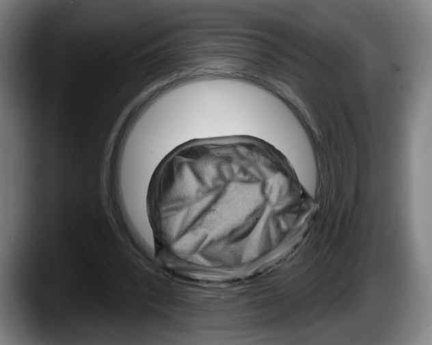 X0000087590392200705251906