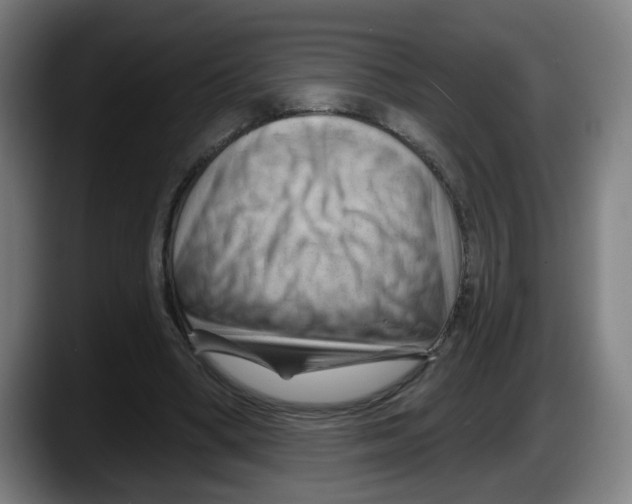 X0000087590394200705251906