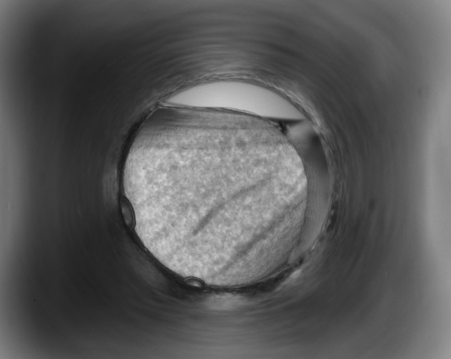 X0000087590397200705251906