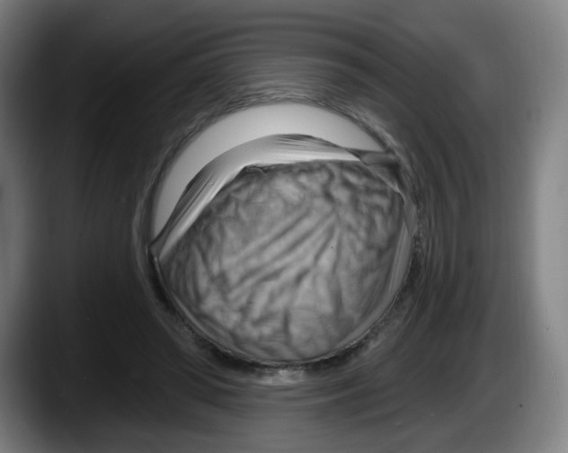 X0000087590398200705251906