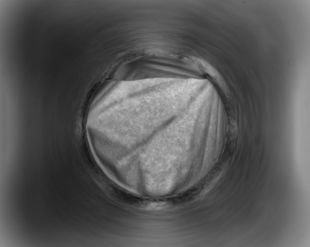X0000087590401200705251906