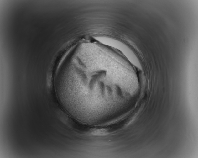 X0000087590403200705251906