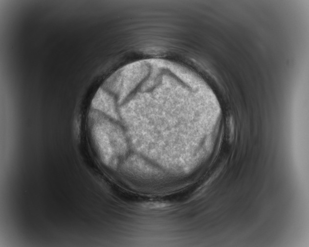 X0000087590404200705251906