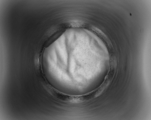 X0000087590405200705251906