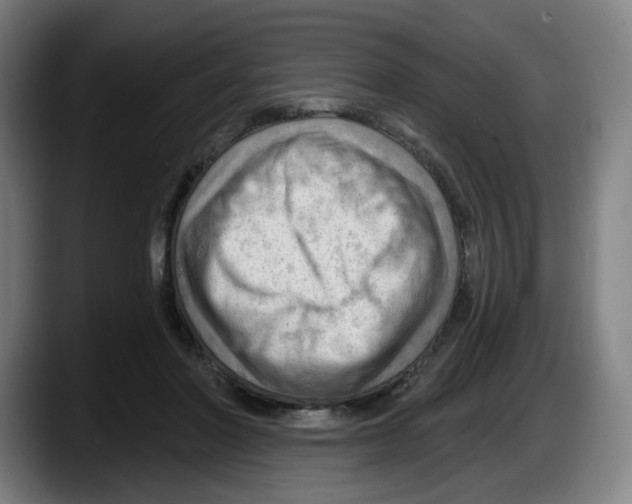 X0000087590406200705251906