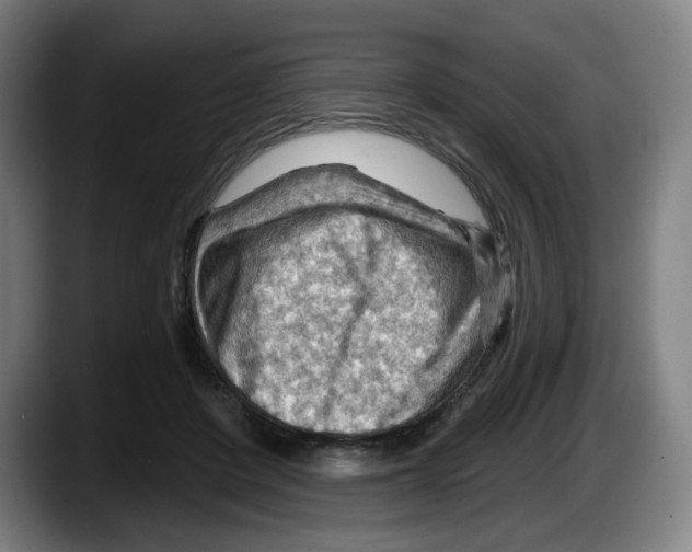 X0000087590408200705251906