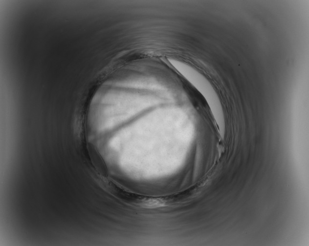 X0000087590409200705251906