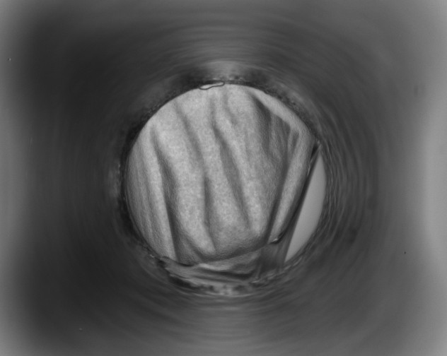 X0000087590413200705251906